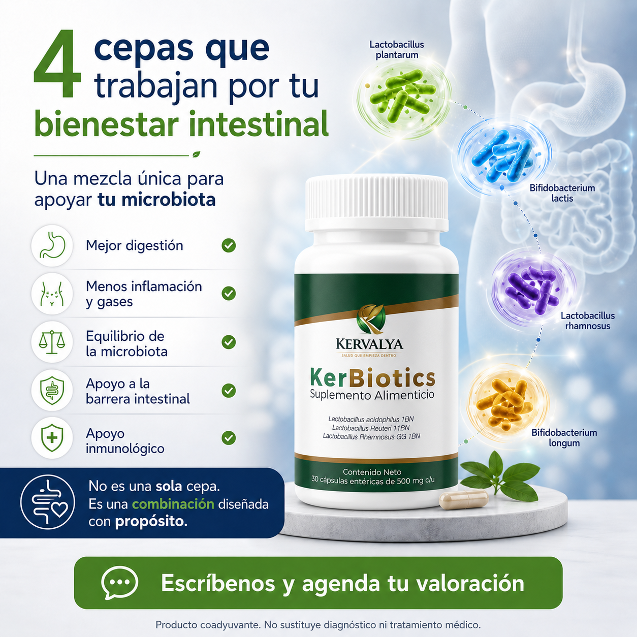 Kervalya Probiótico 4 Cepas